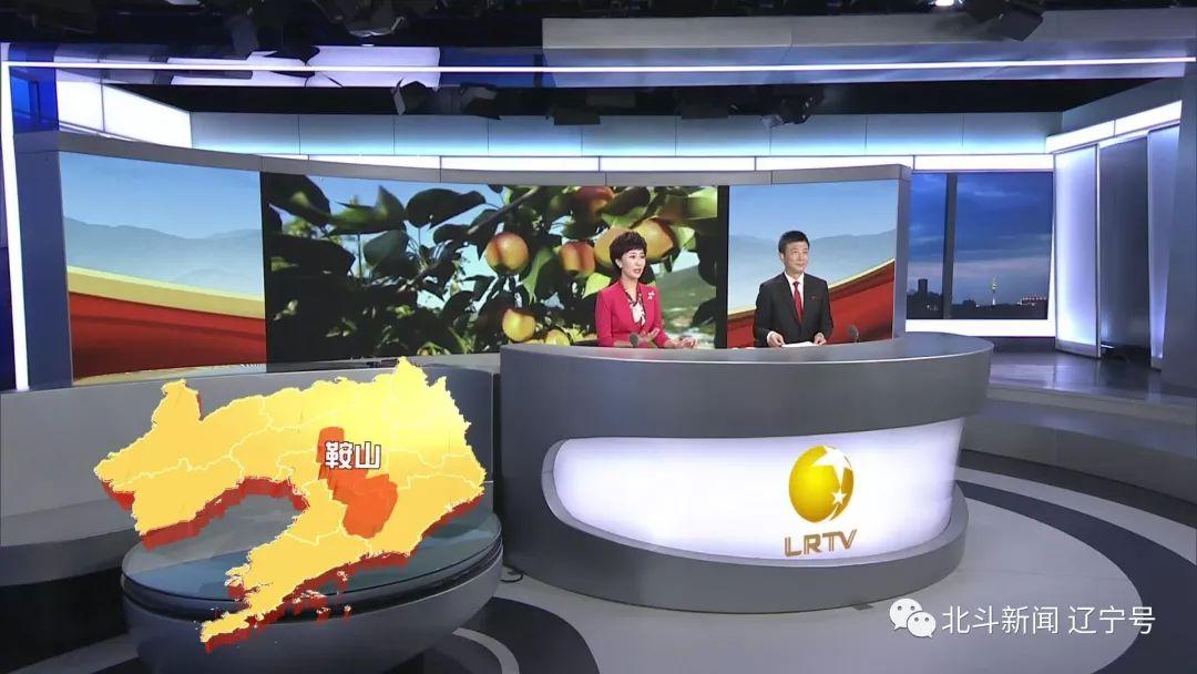 辽宁卫视直播在线观看今日