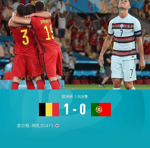 比利时1-0葡萄牙的相关图片